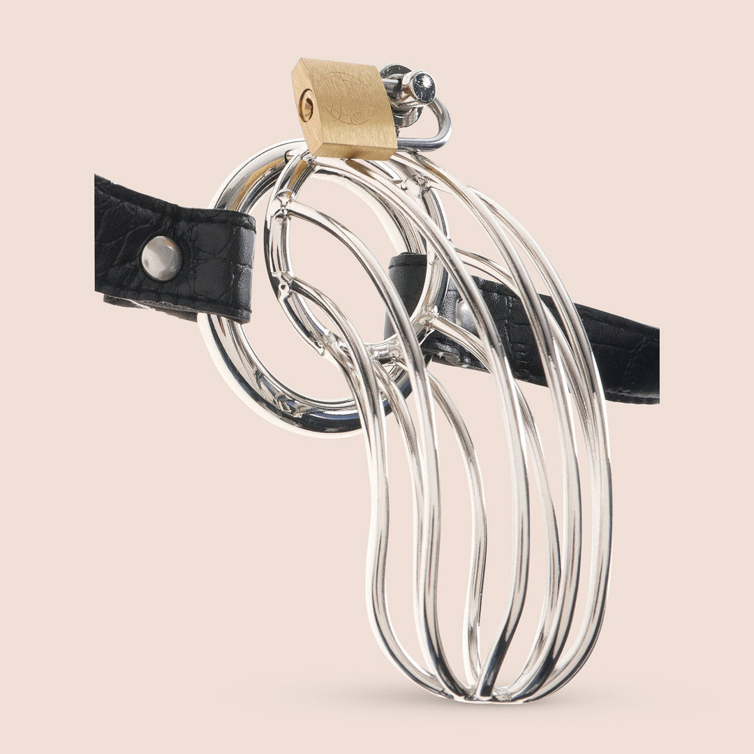 Fetish Fantasy Extreme the Prisoner | chastity cage