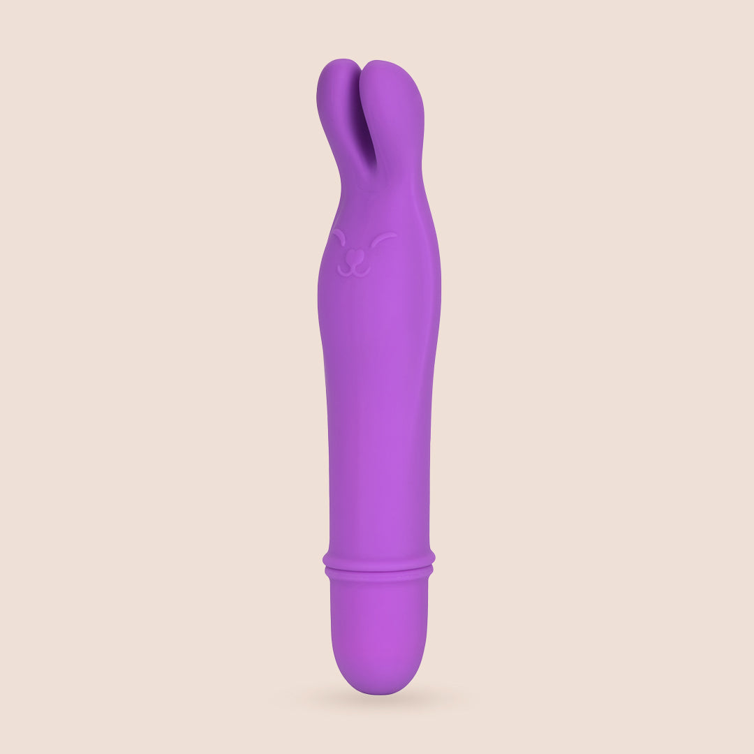 Shane's World® Bedtime Bunny | travel-sized vibrating bullet