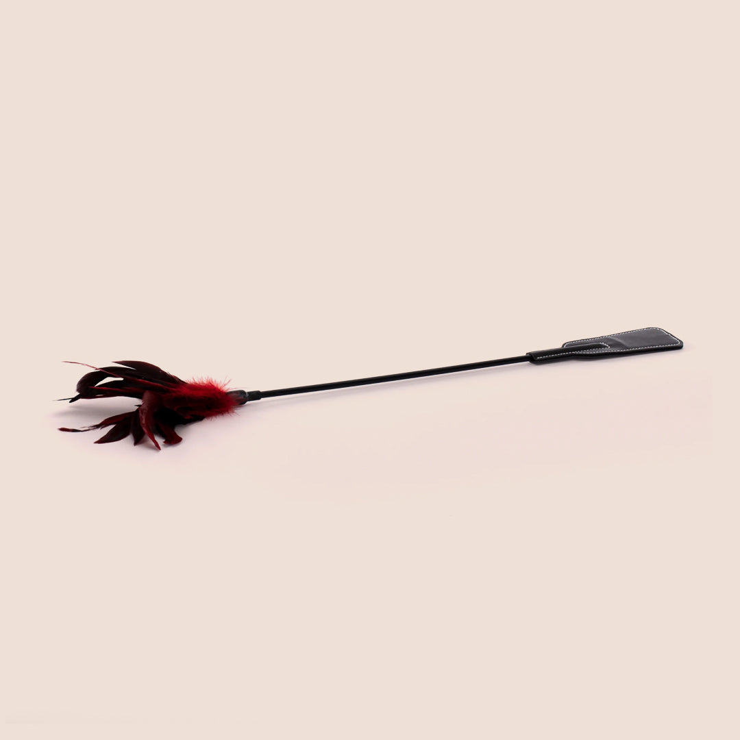 Sex & Mischief Feather Slapper | double ended feather plume & vinyl slapper