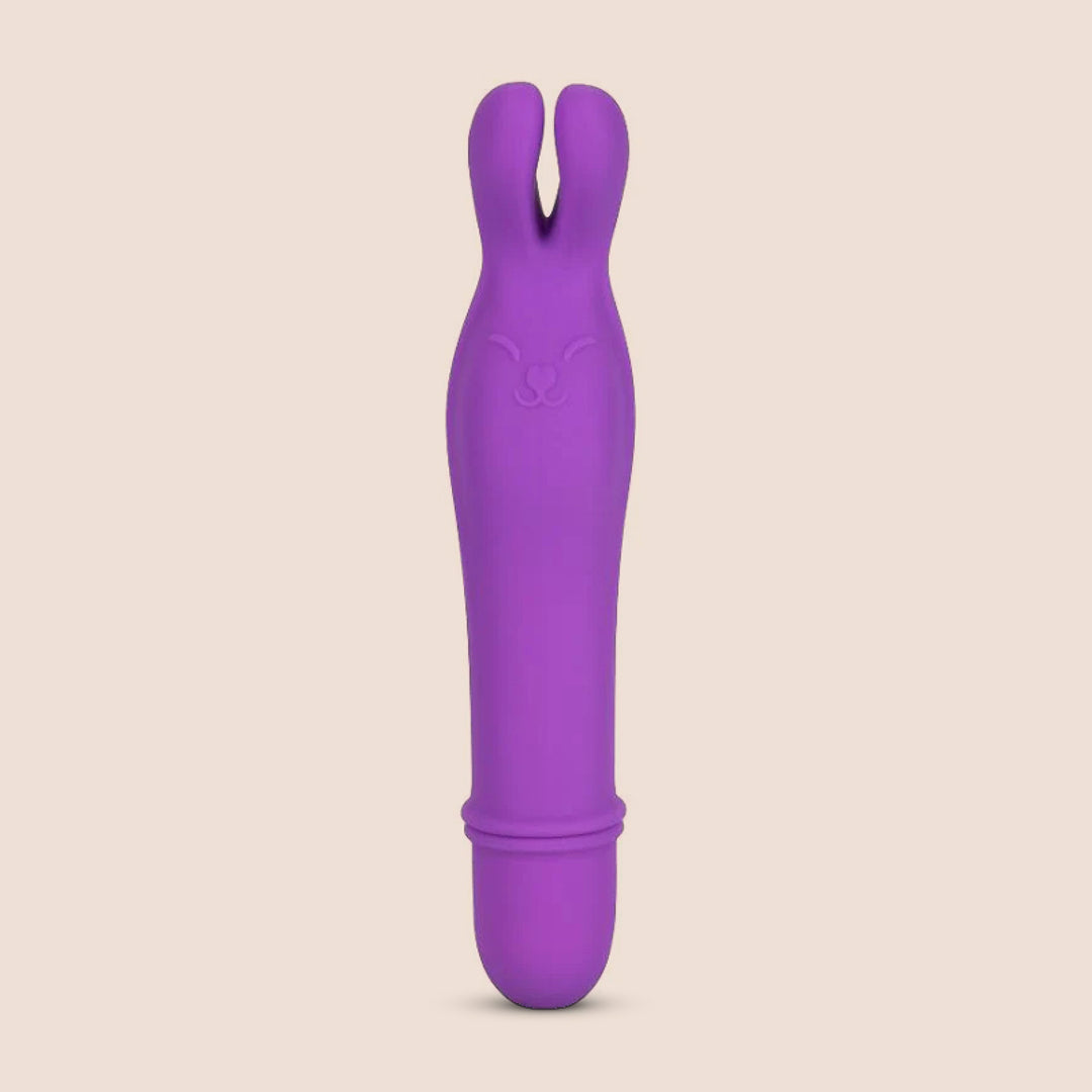 Shane's World® Bedtime Bunny | travel-sized vibrating bullet